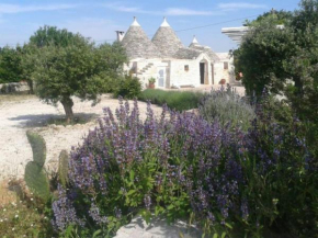 Trullo Raimondo Martina Franca